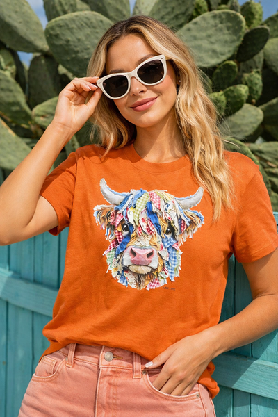 BC DTF SCRAPS BISION TEE - AUTUMN