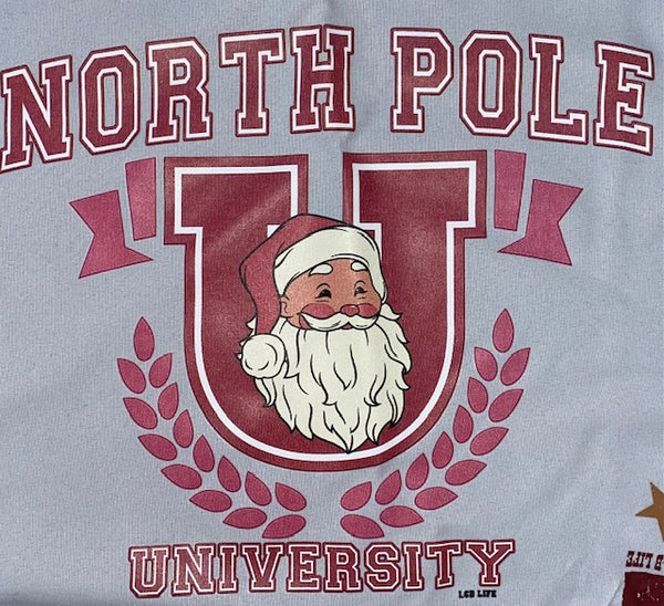 NORTH POLE UNIVERSTY