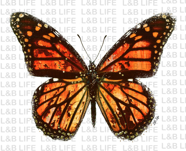 ORANGE BUTTERFLY