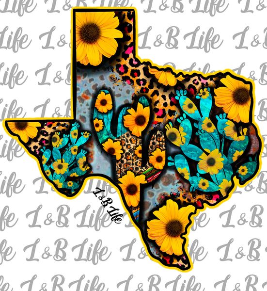 SUNFLOWER CACTUS TEXAS