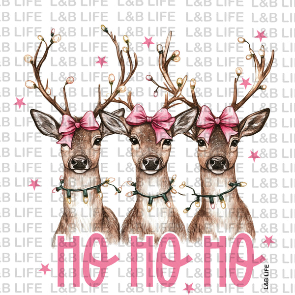 HO HO HO DEERS