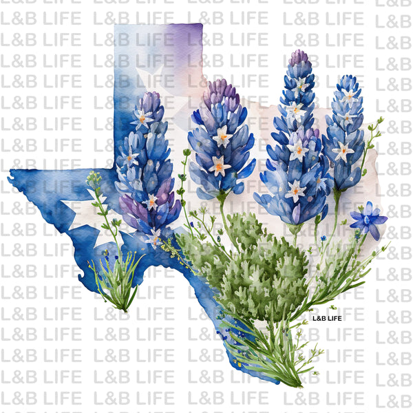 BLUEBONNET TEXAS