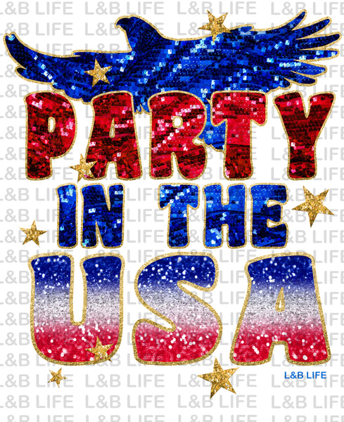 PARTY IN THE USA