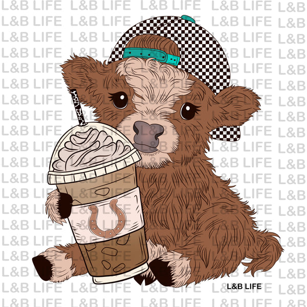 COFFEE BABY COW