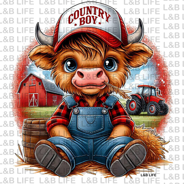 COUNTRY BOY COW