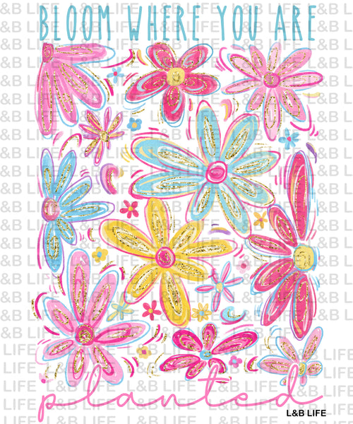 BLOOM WHERE YOU ARE PLANTED