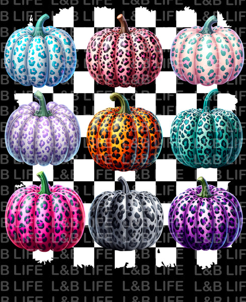 LEOPARD CHECKER PUMPKINS