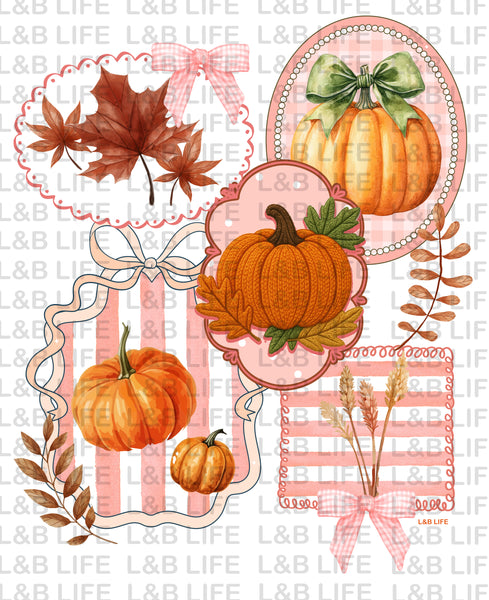 PINK FRAME PUMPKINS