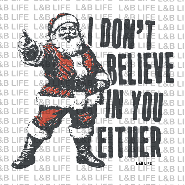 I DON'T BELIEVE IN YOU EITHER