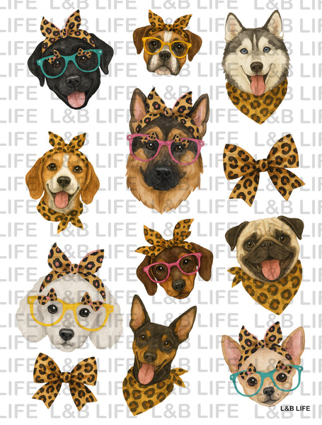 LEOPARD BANDANA DOGS