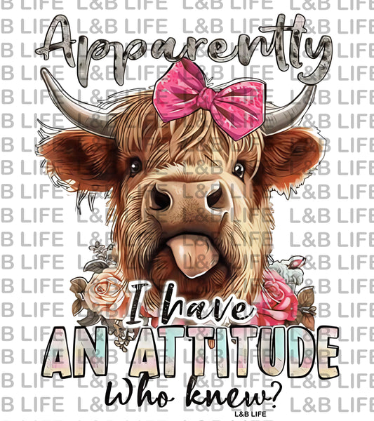 APPARENTLY I HAVE AN ATTITUDE