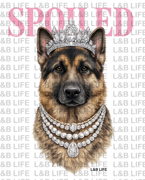 German Shepherd SPOILED