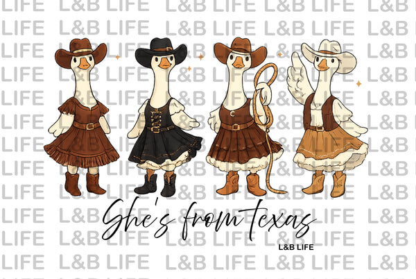 SHE'S FROM TEXAS GOOSE