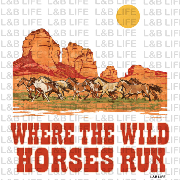 WHERE THE WILD HORSES RUN