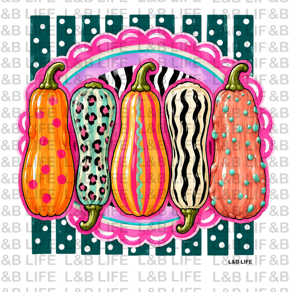 5 SQUASH