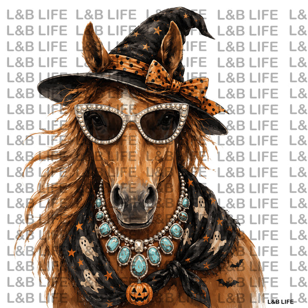 WITCHY WESTERN MARE