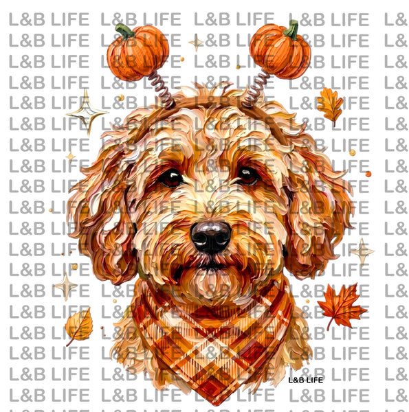 DOODLE PUMPKIN PLAID