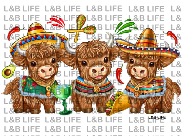 FIESTA BEAR SQUAD