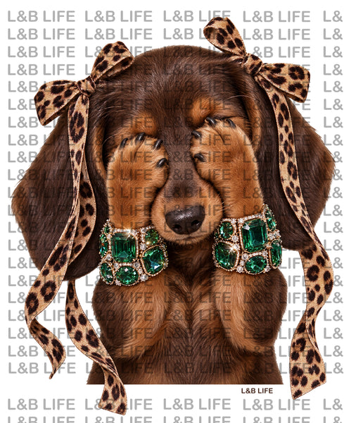 BOHO PUP QUEEN