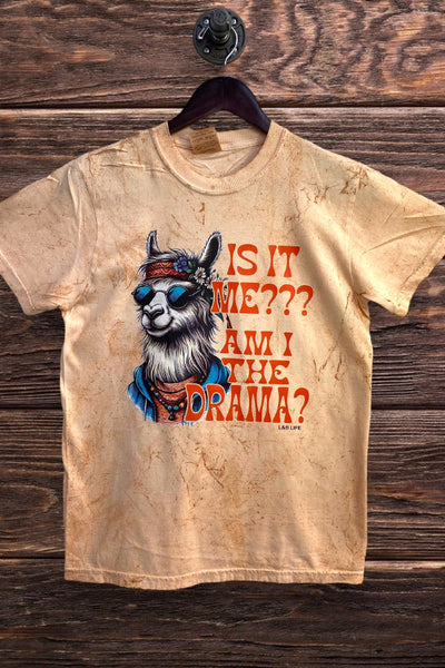 CC BLAST DTF IS IT ME - BLAST PEACH