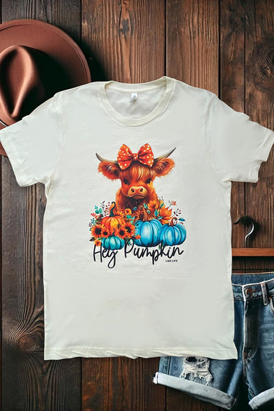 BC DTF HEY PUMPKIN - CREAM