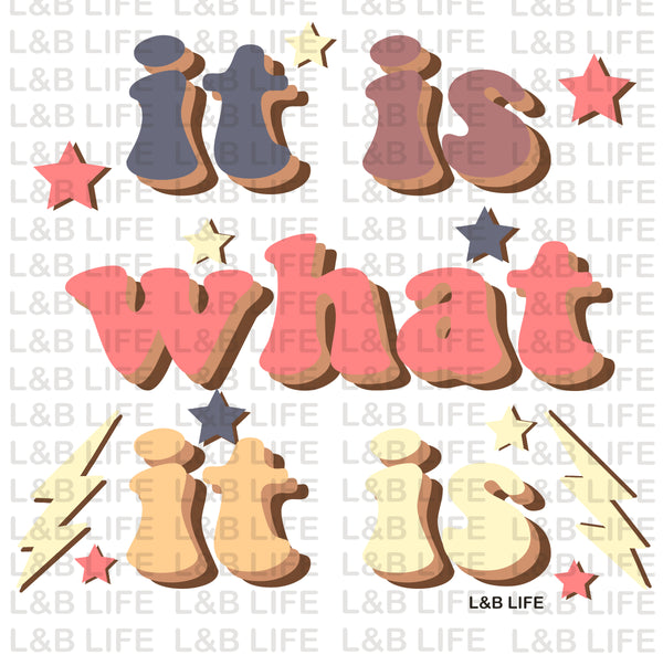 IT IS WHAT IT IS ( VINTAGE )