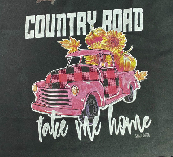 COUNTRY ROAD TAKE ME HOME