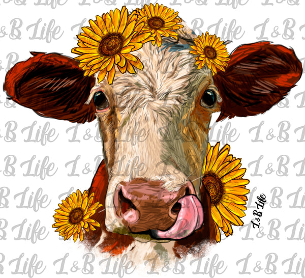 SUNFLOWER COW