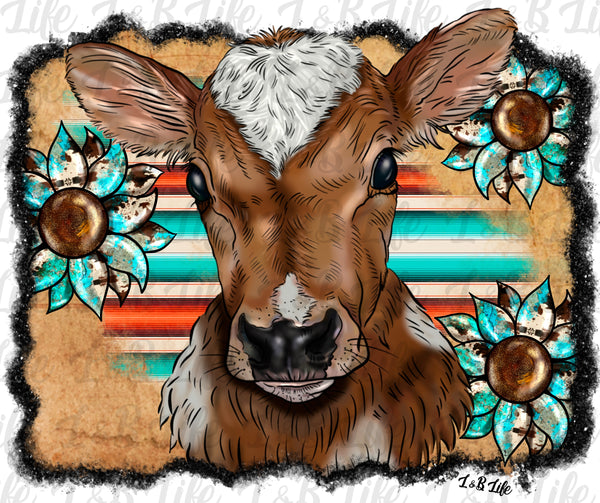BABY COW SERAPE