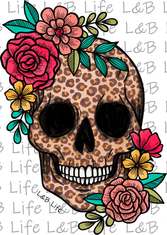 Leopard skull