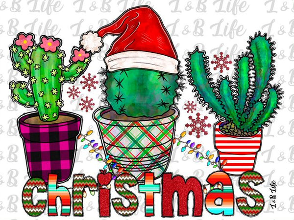 CACTUS CHRISTMAS