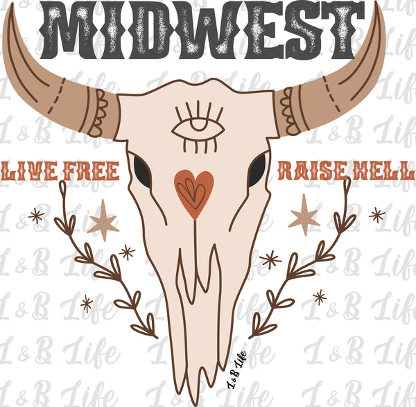 MIDWEST STEER