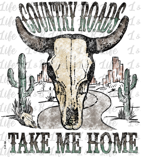 COUNTRY ROADS TAKE ME HOME