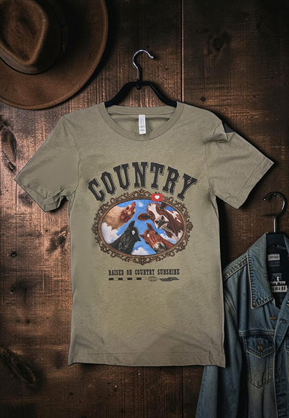 BC DTF COUNTRY TEE - HEATHER BROWN