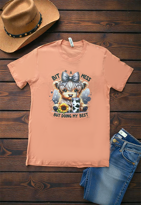 BC DTF BIT OF A MESS TEE - SUNSET