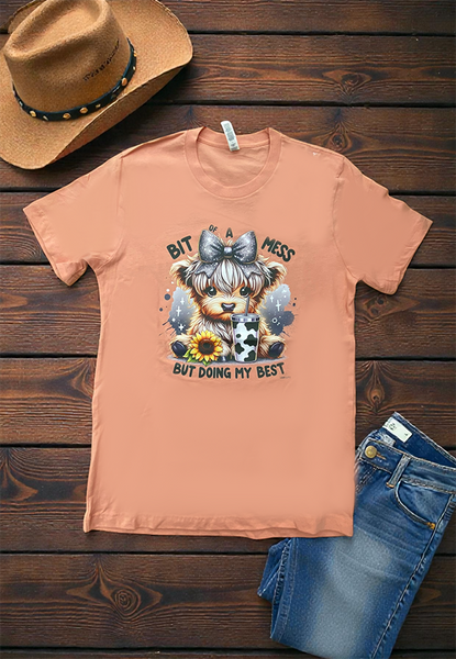 BC DTF BIT OF A MESS TEE - SUNSET