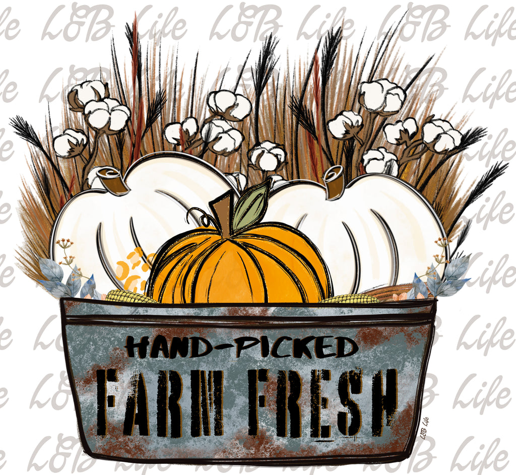 HAND PICKED FARM FRESH