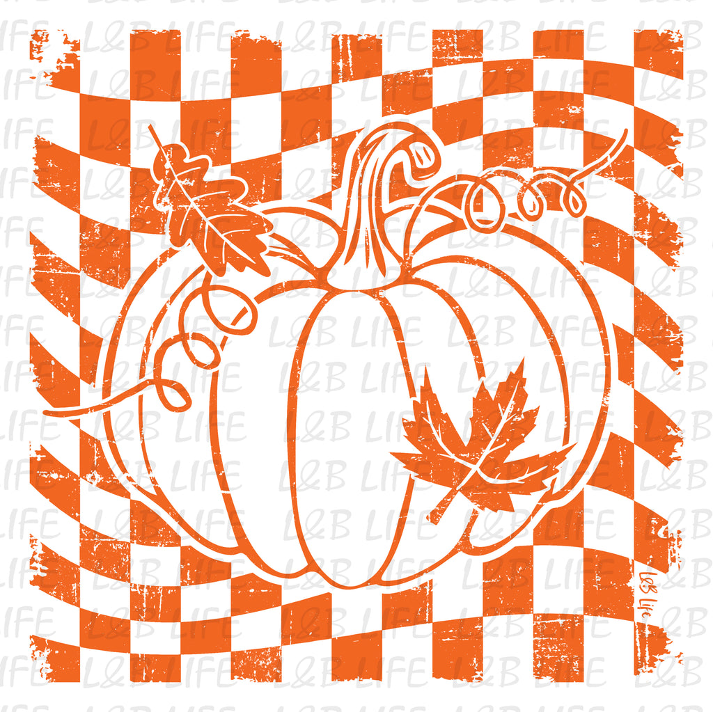 ORANGE CHECKER PUMPKIN