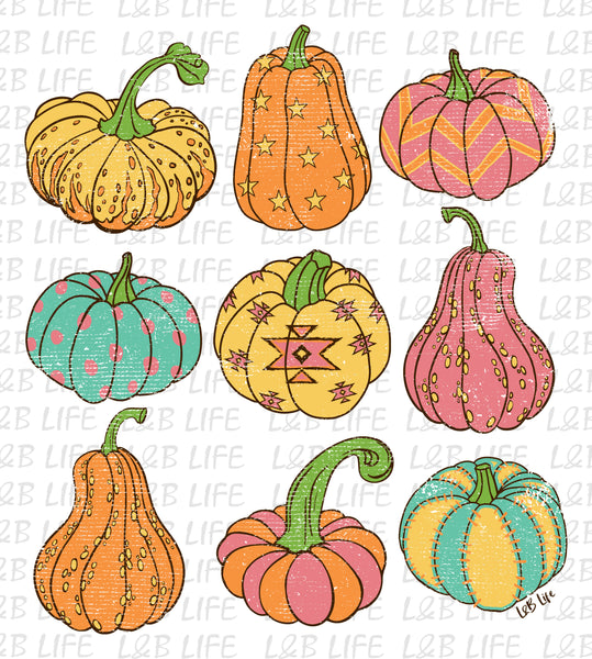 PASTEL MINI PUMPKINS