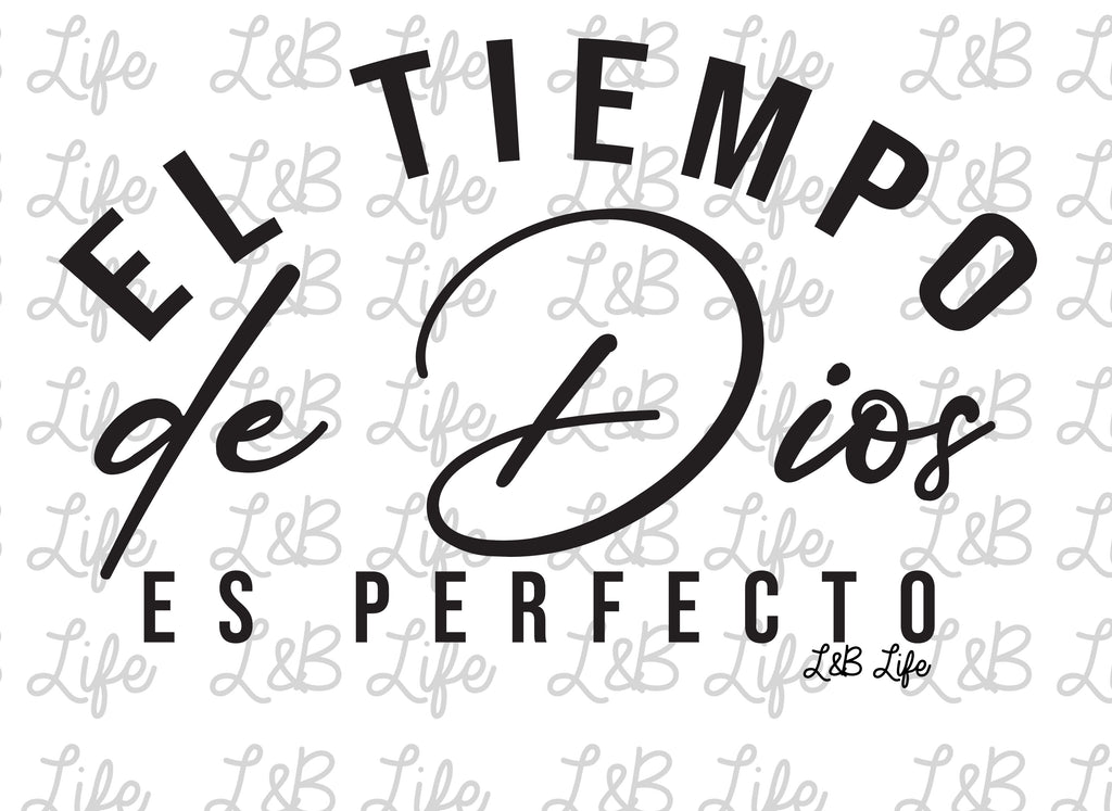 EL TIEMPO DE DIOS ES PERFECTO