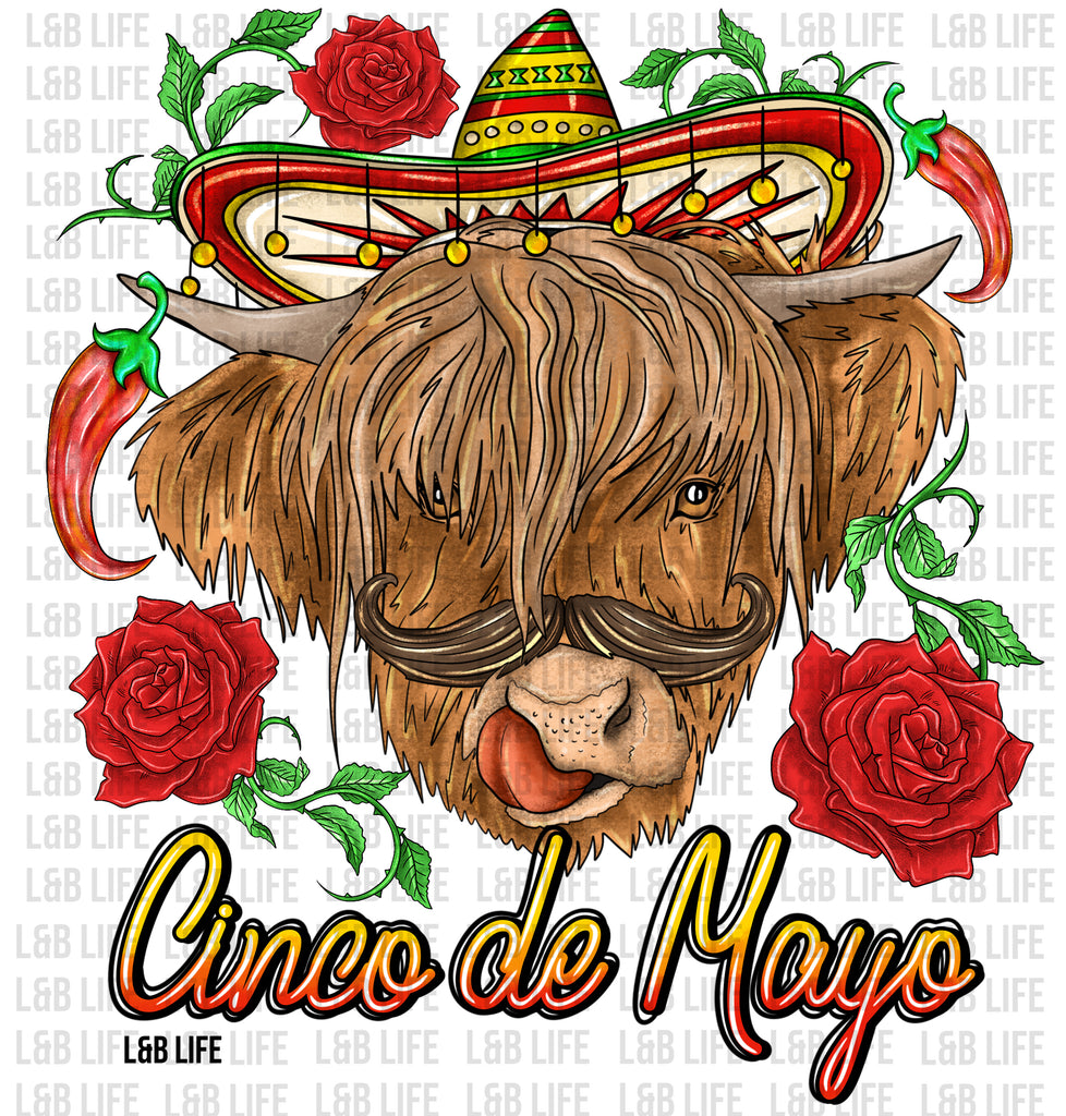 CINCO DE MAYO