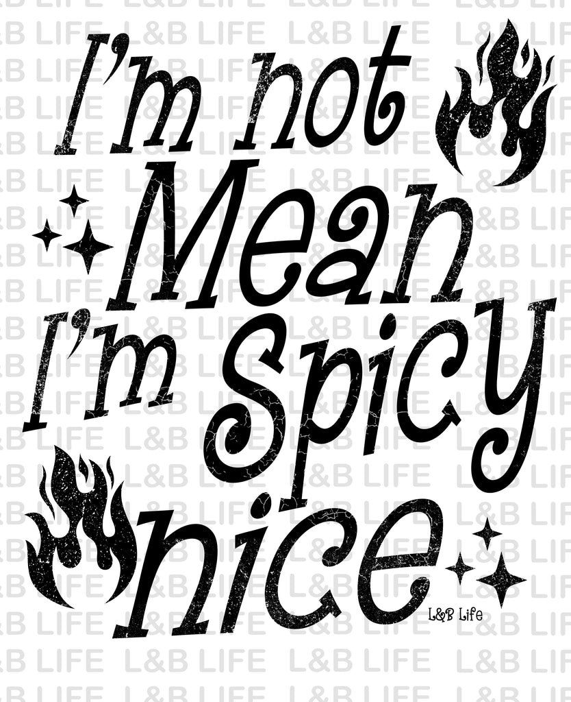 IM NOT MEAN IM SPICY NICE