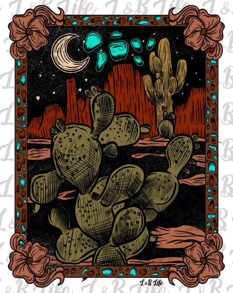 CACTUS DESERT NIGHT