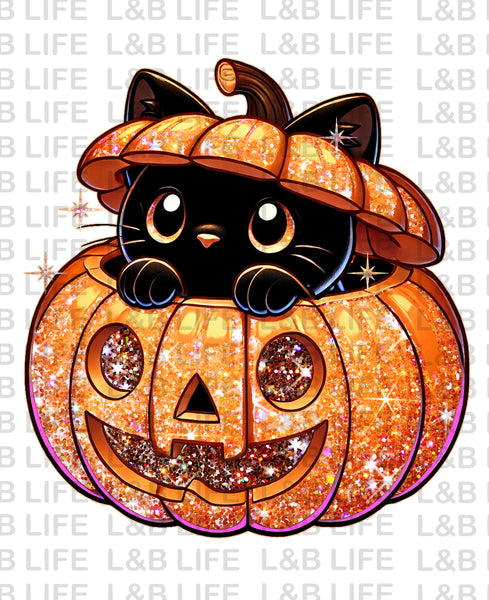 PUMPKIN CAT