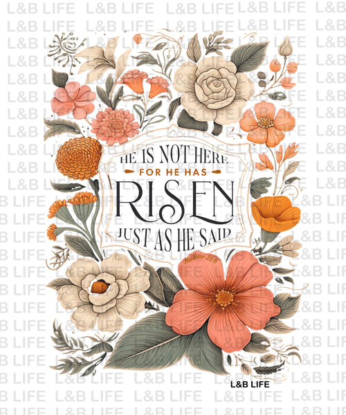 HE IS NOT HERE ( BACK )