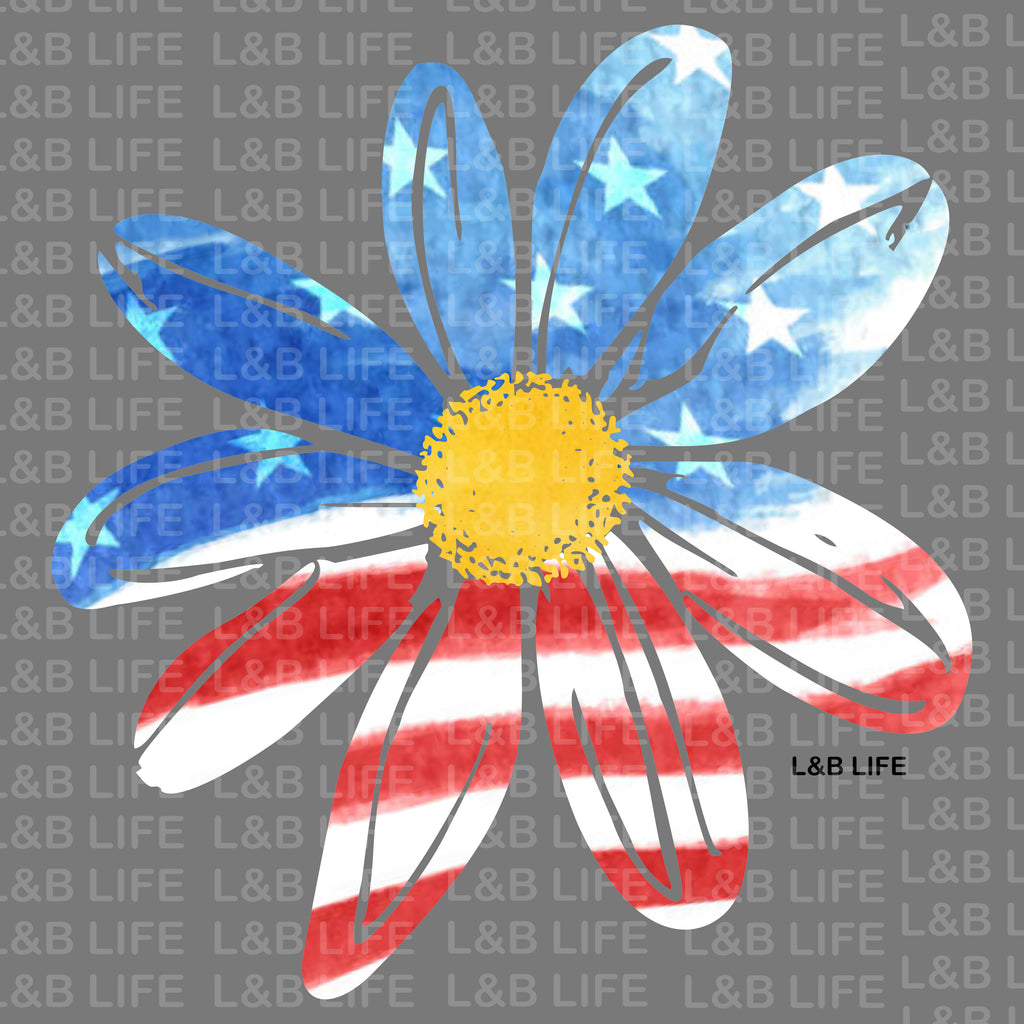 AMERICAN DAISY FLOWER