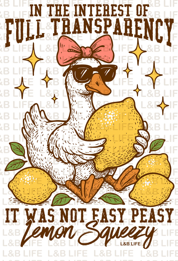 IN THE INTREST OF TRANSPARENCY