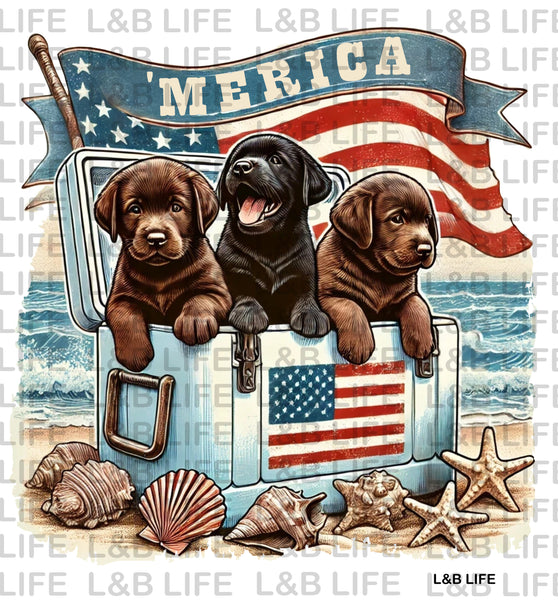 MERICA PUPPIES