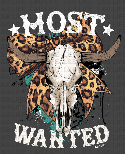MOST WANTED STEER