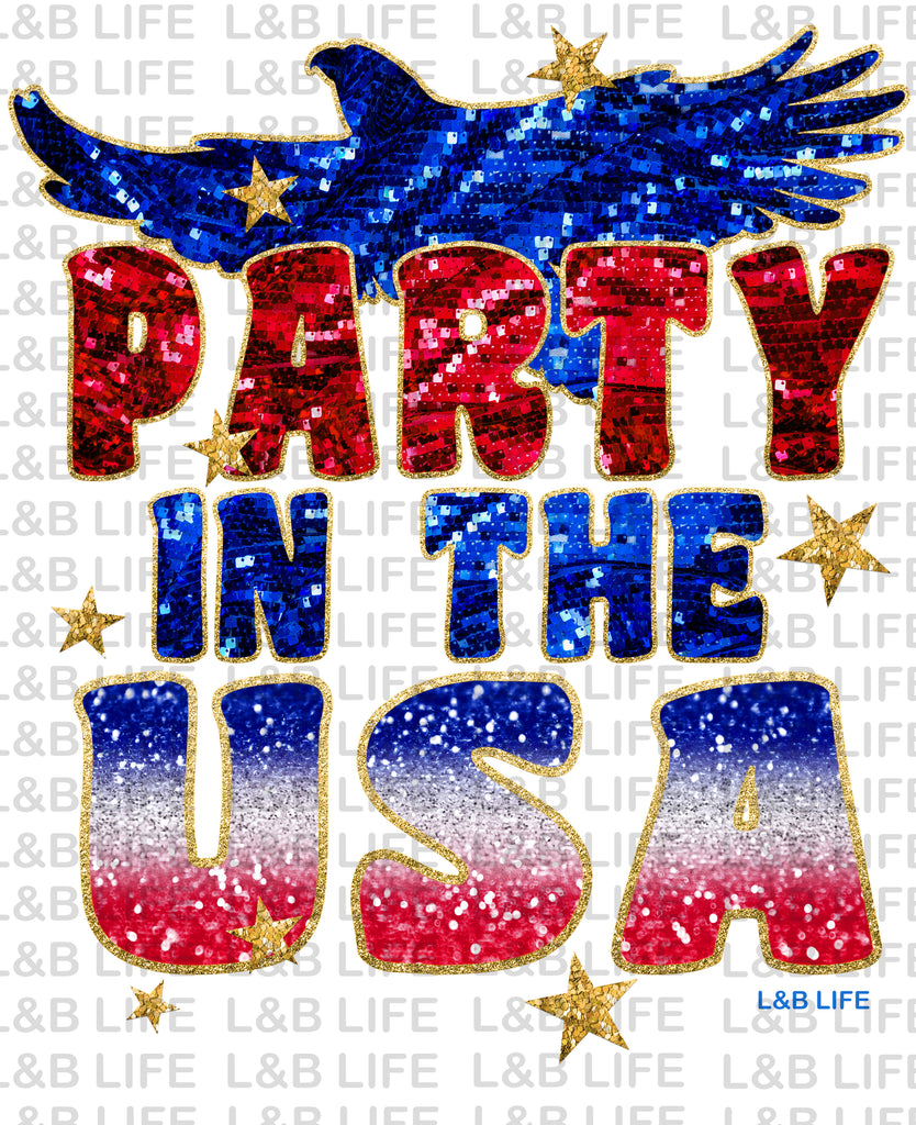 PARTY IN THE USA